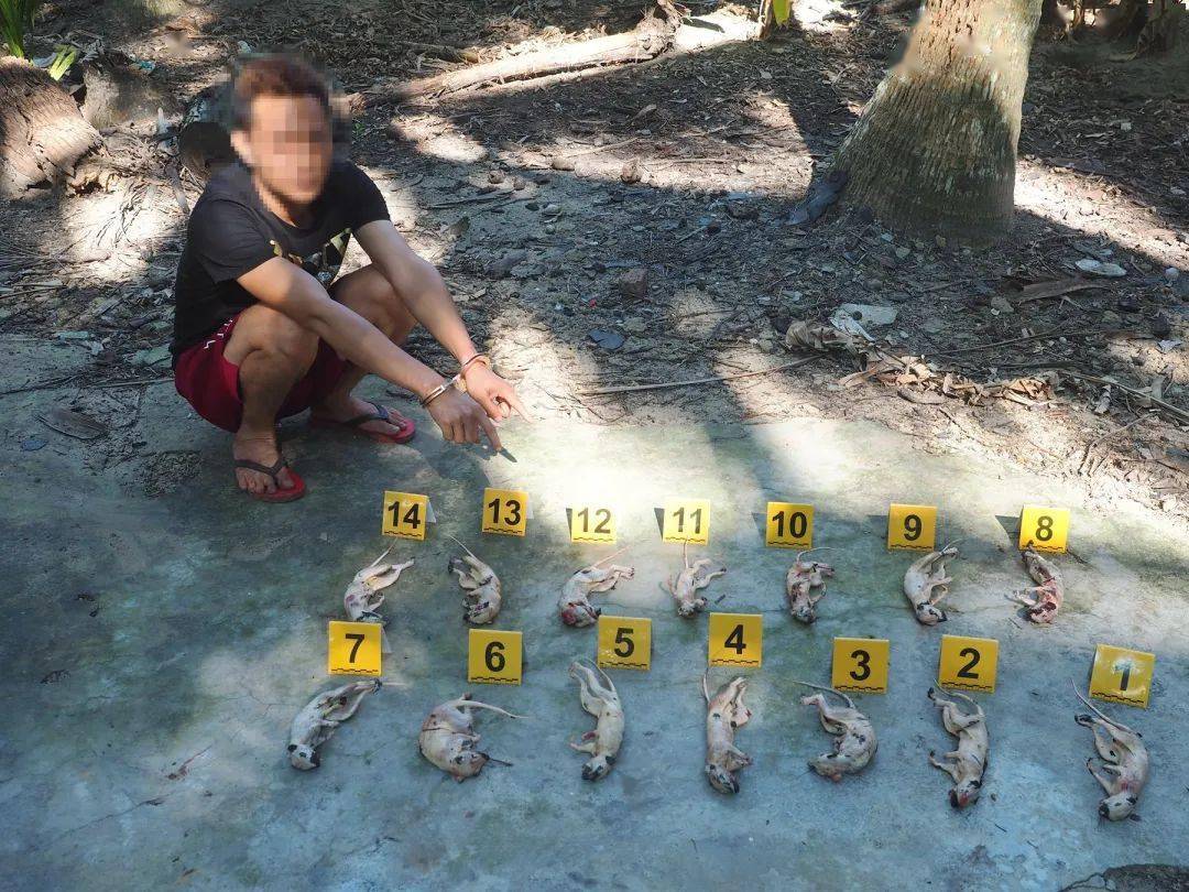 使用毒药,爆炸物,电击或者电子诱捕装置以及猎套,猎笼,猎夹,地弓,弹弓