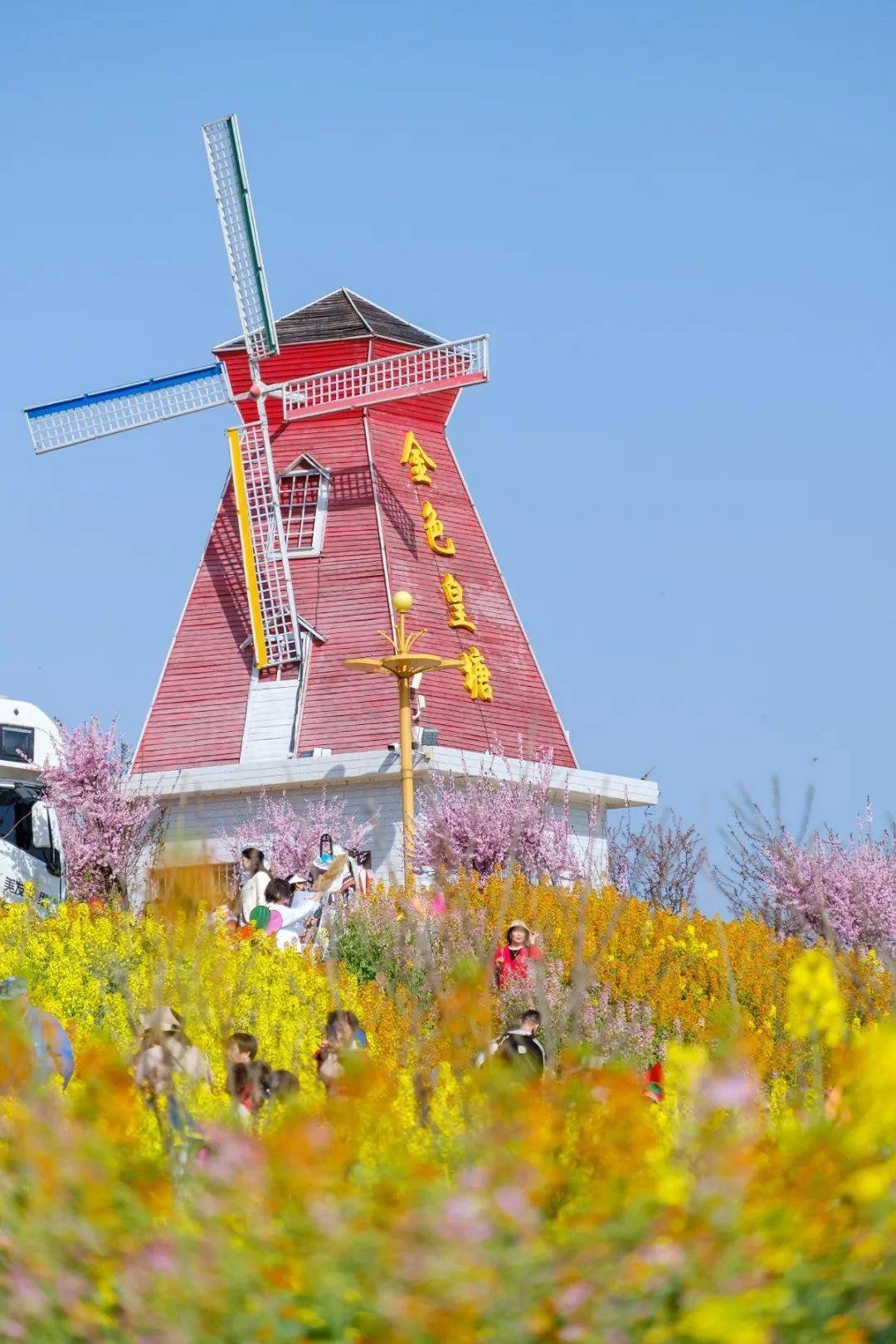 闯入绝美油菜花海,解锁汉中好春光!_郭阳_摄影_皇塘