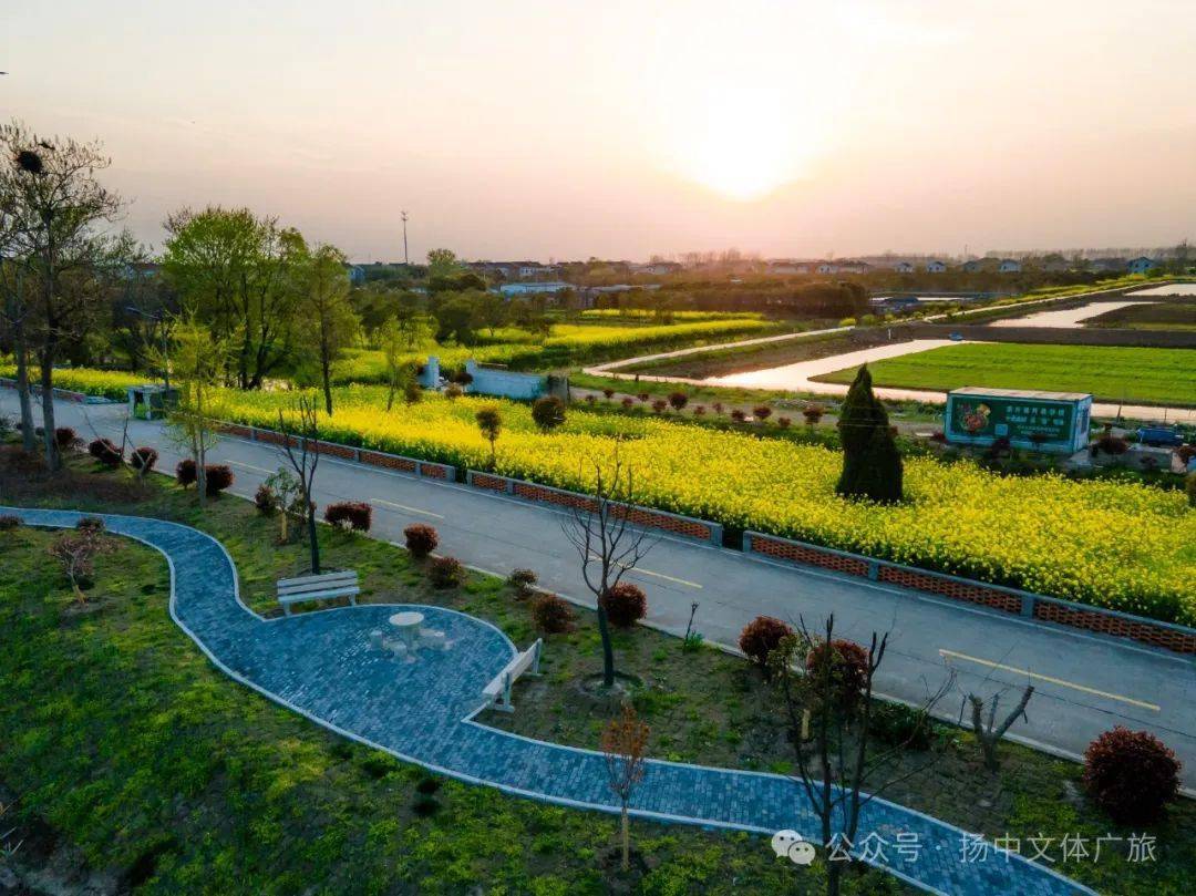 河豚节扬中怎么玩?快来收藏这份美食地图!_游客_推广_线路图