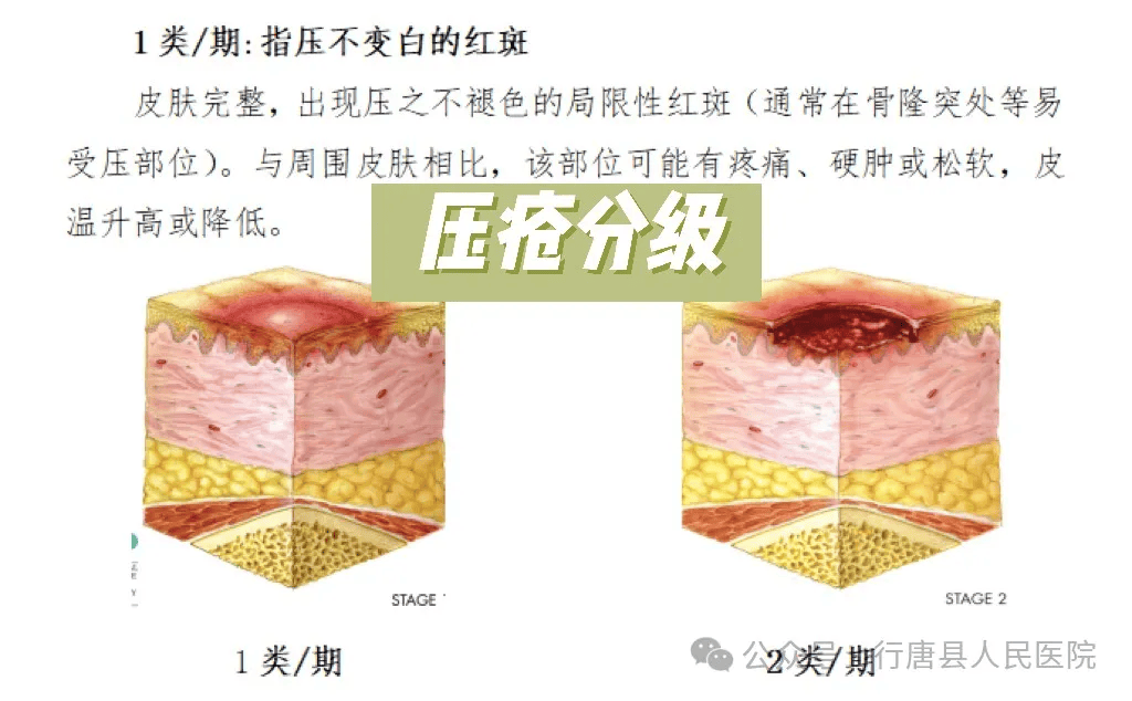 护理延伸服务您的贴身健康管家