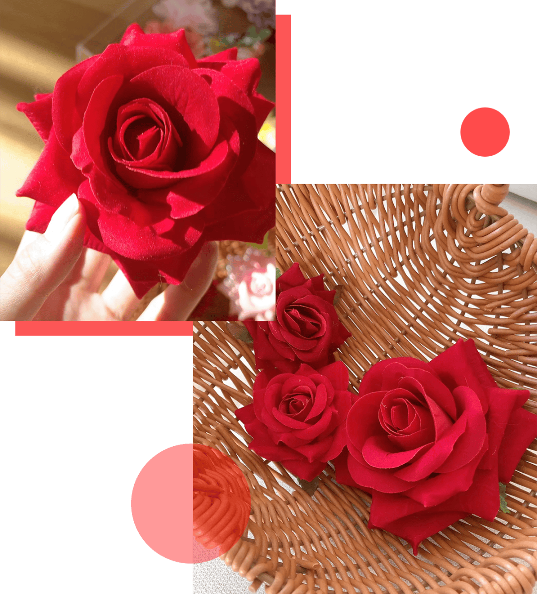 红玫瑰则偏妩媚娇艳风格,且红色显肤白.