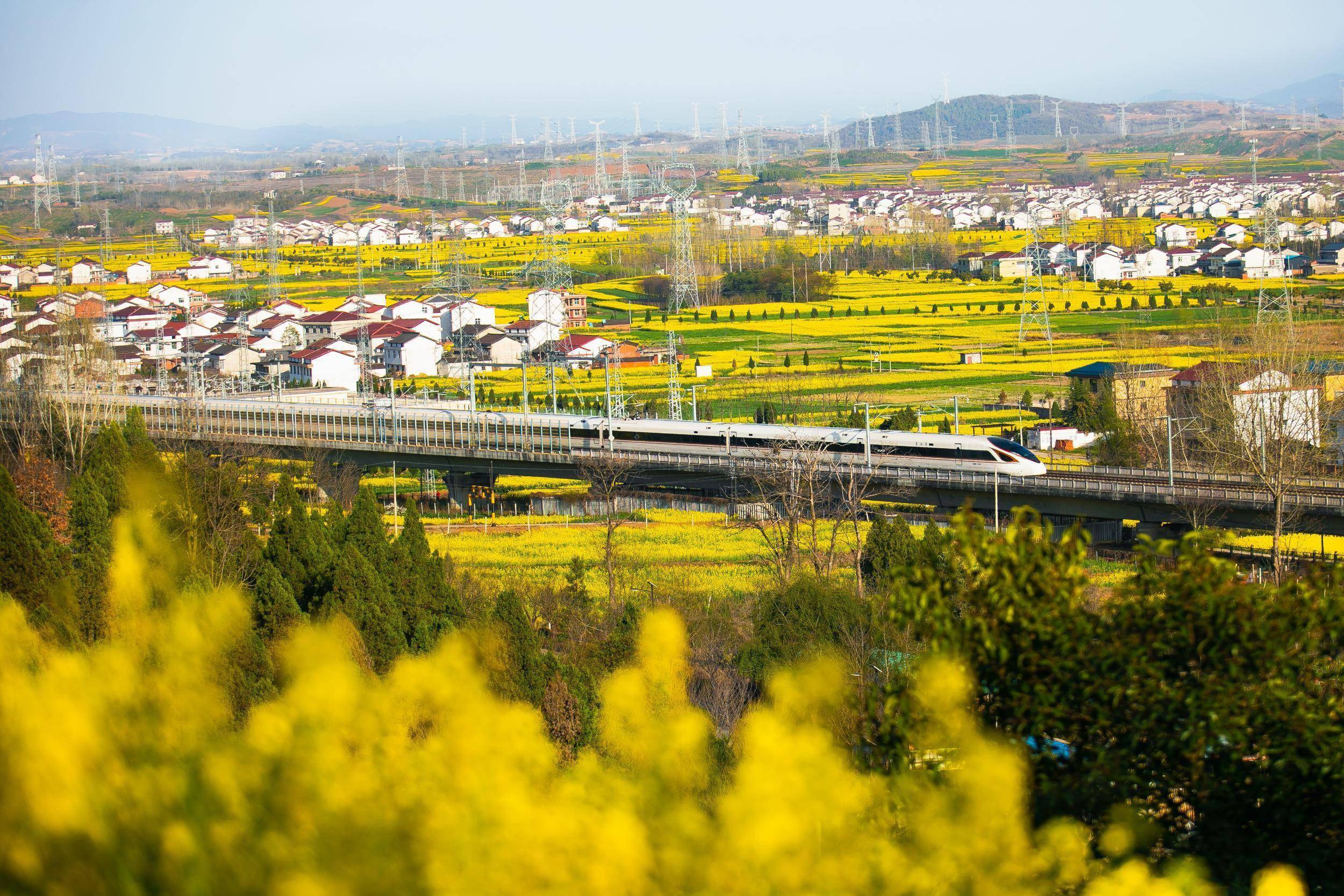 汉中风景路图片