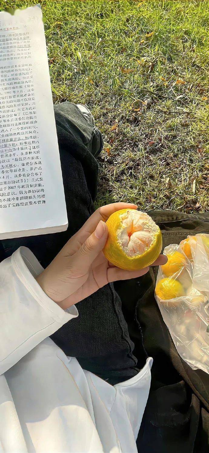 壁纸超宝藏的ins小众壁纸