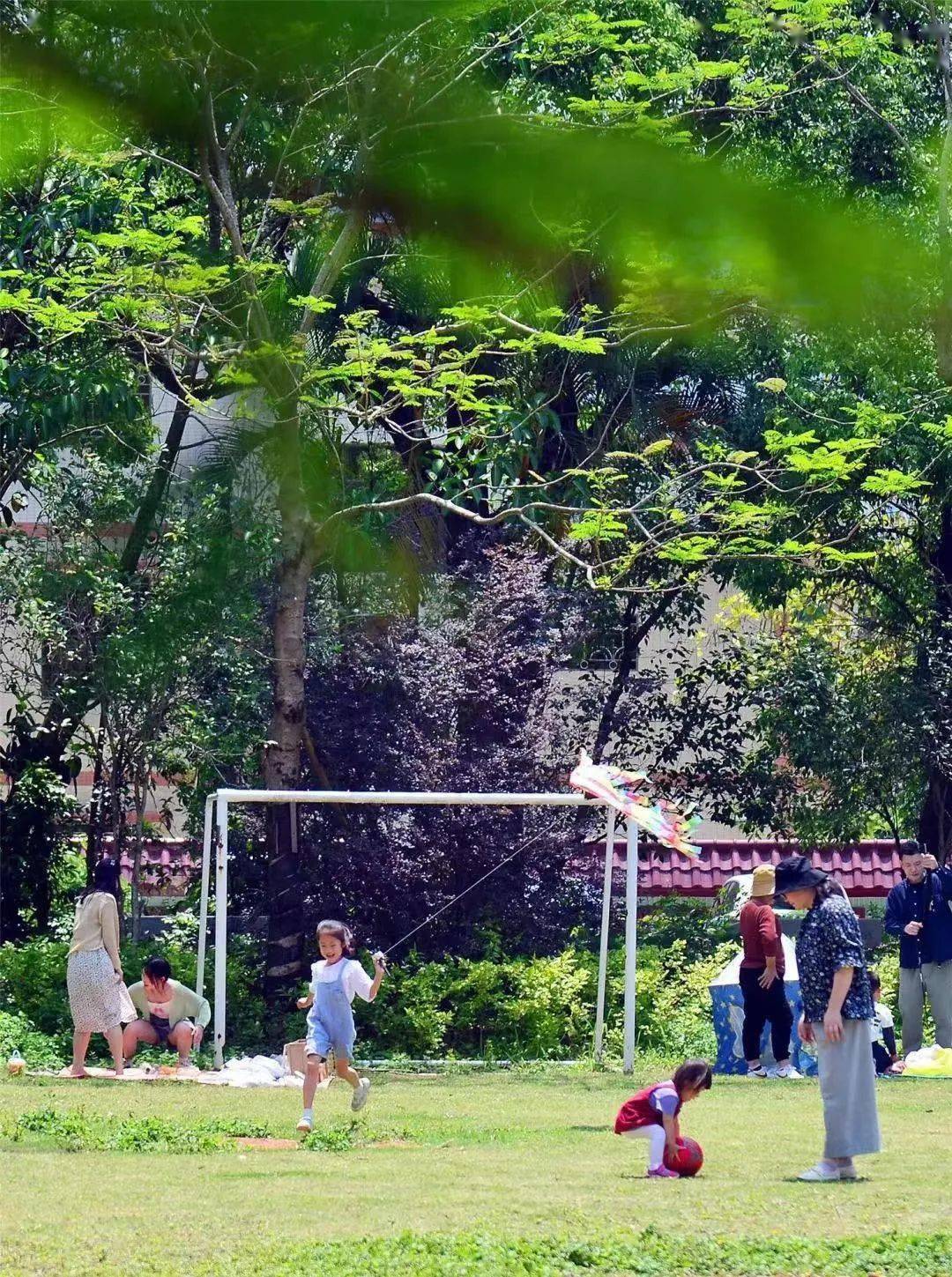 跟着赛事出游用脚步丈量五桂山的春天