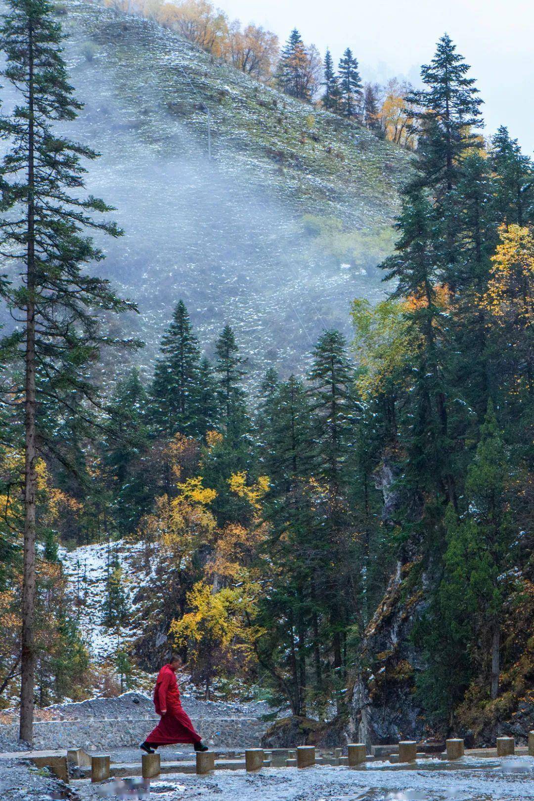 甘肃西南角黄河长江为何都宠她
