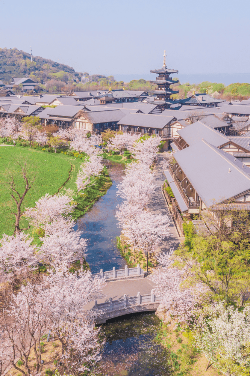 (参赛报名成功页面)可至拈花湾景区票房现场购买半价门票游玩拈花湾