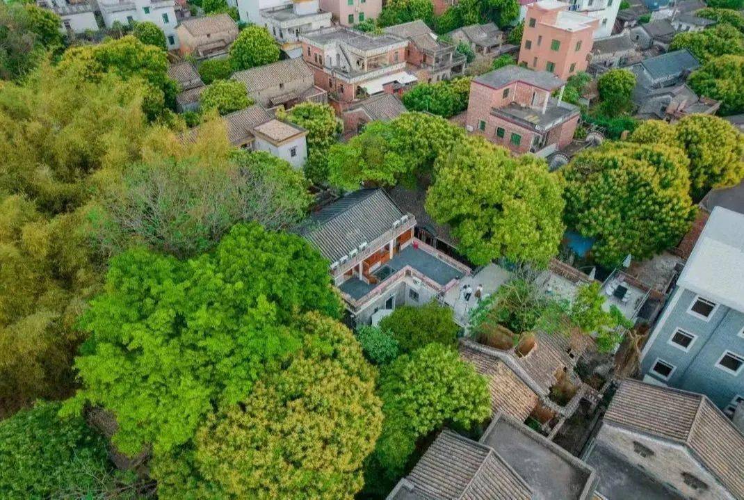 展旗峰生态公园,梦里水乡百花园93入住特色:房间采用简约的ins