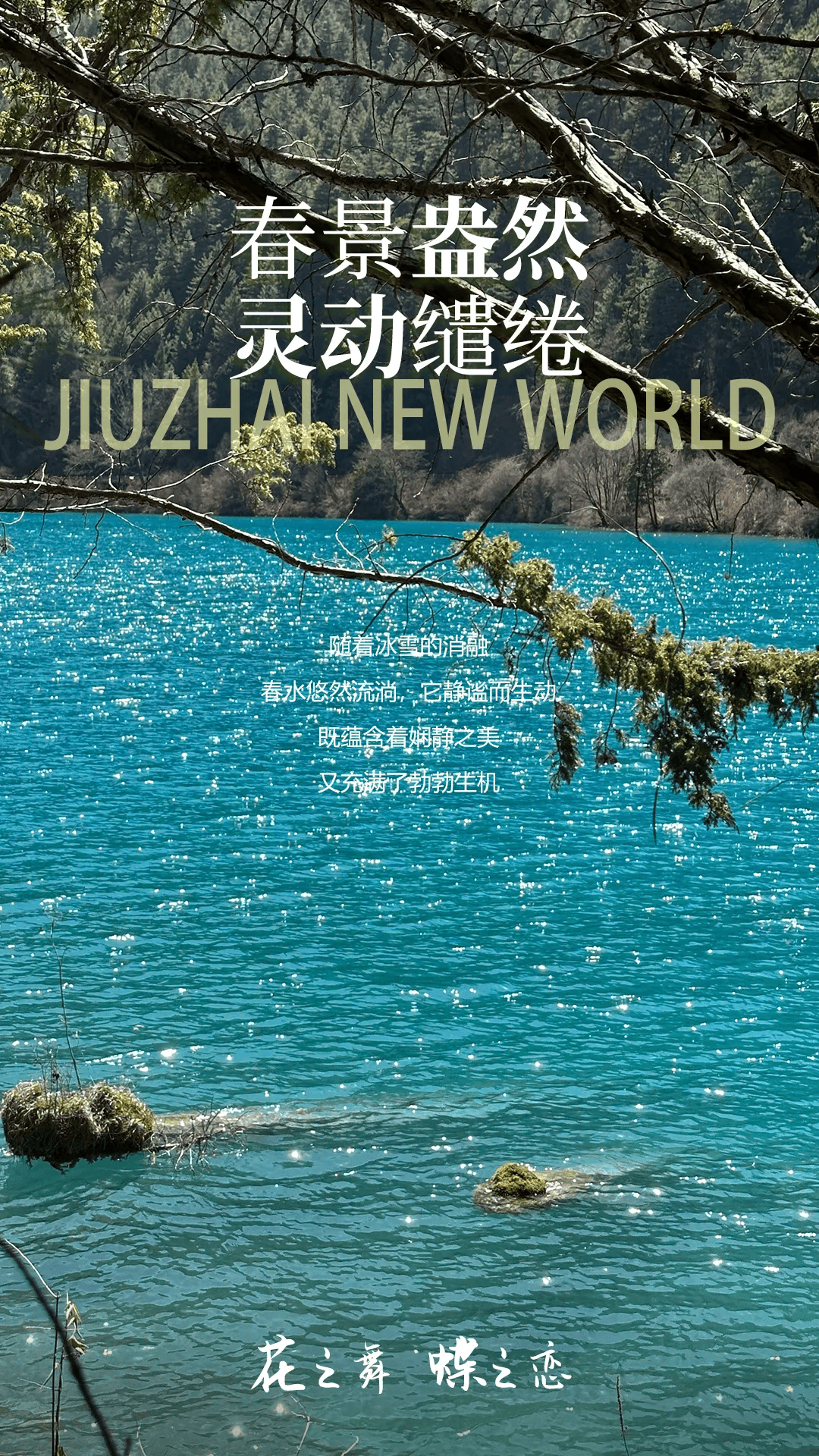 全域旅游三月春风起九寨沟洒落浮光碎影