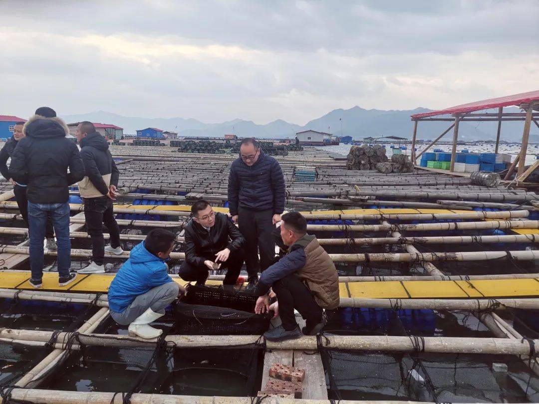 网点扎根乡镇海岛 服务万千农户渔民_支行_同德县_金融