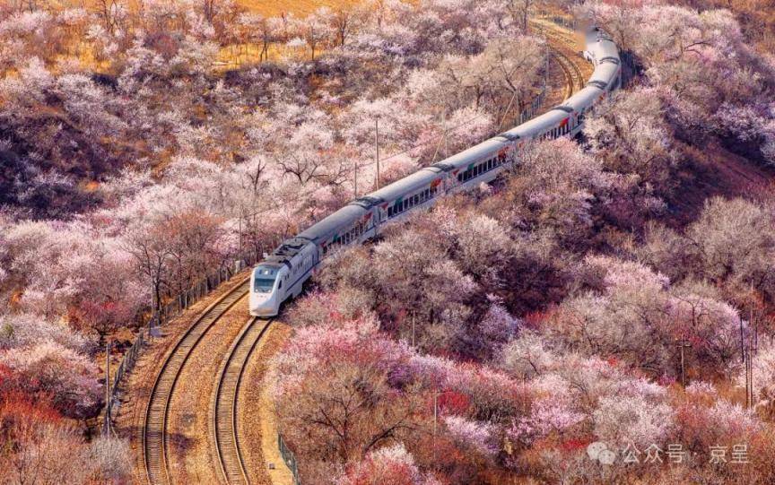 等待5个多小时终于拍到开往春天的列车浪漫相汇