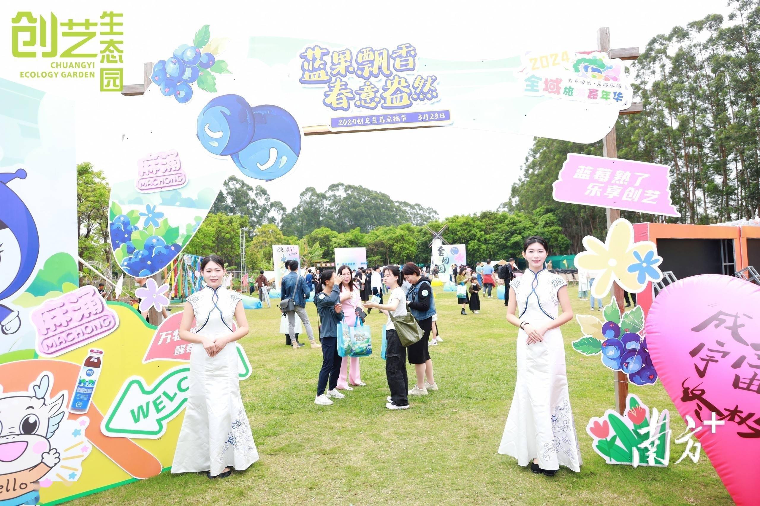 多图|麻涌蓝莓采摘季启动,"莓"好时光等你来_活动_旅游_创艺