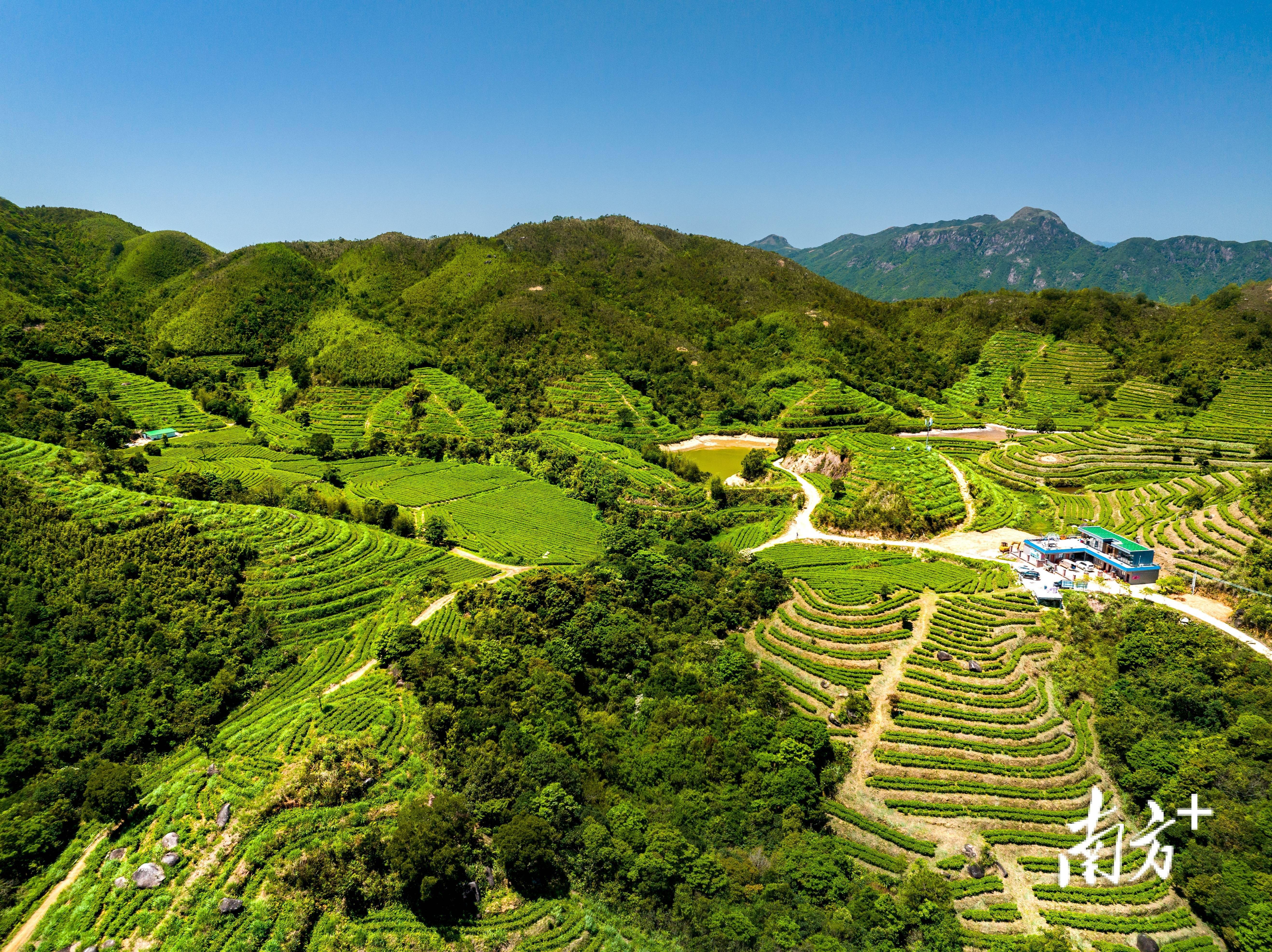 悠游山海",这条美食旅游精品线路请收好_文化_广东省_东水山