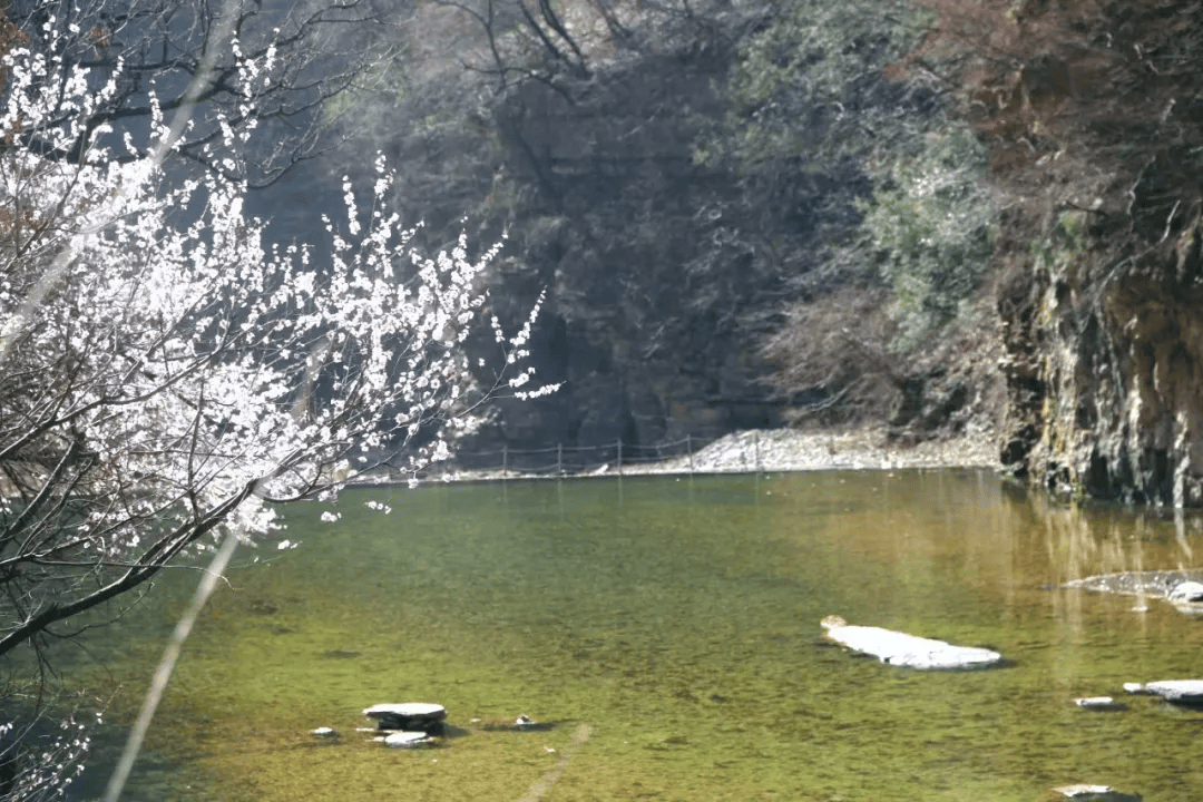 等花开等你来蟒河景区门票半价