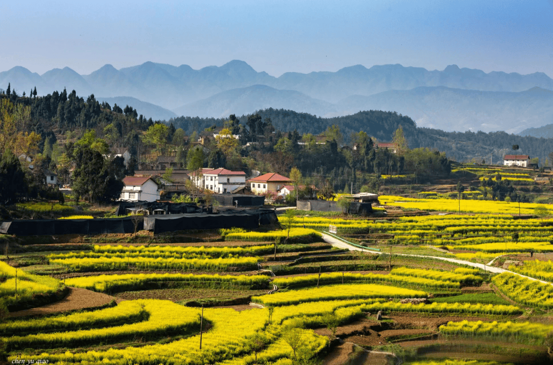 游古镇观花海,共享"海底捞"之旅
