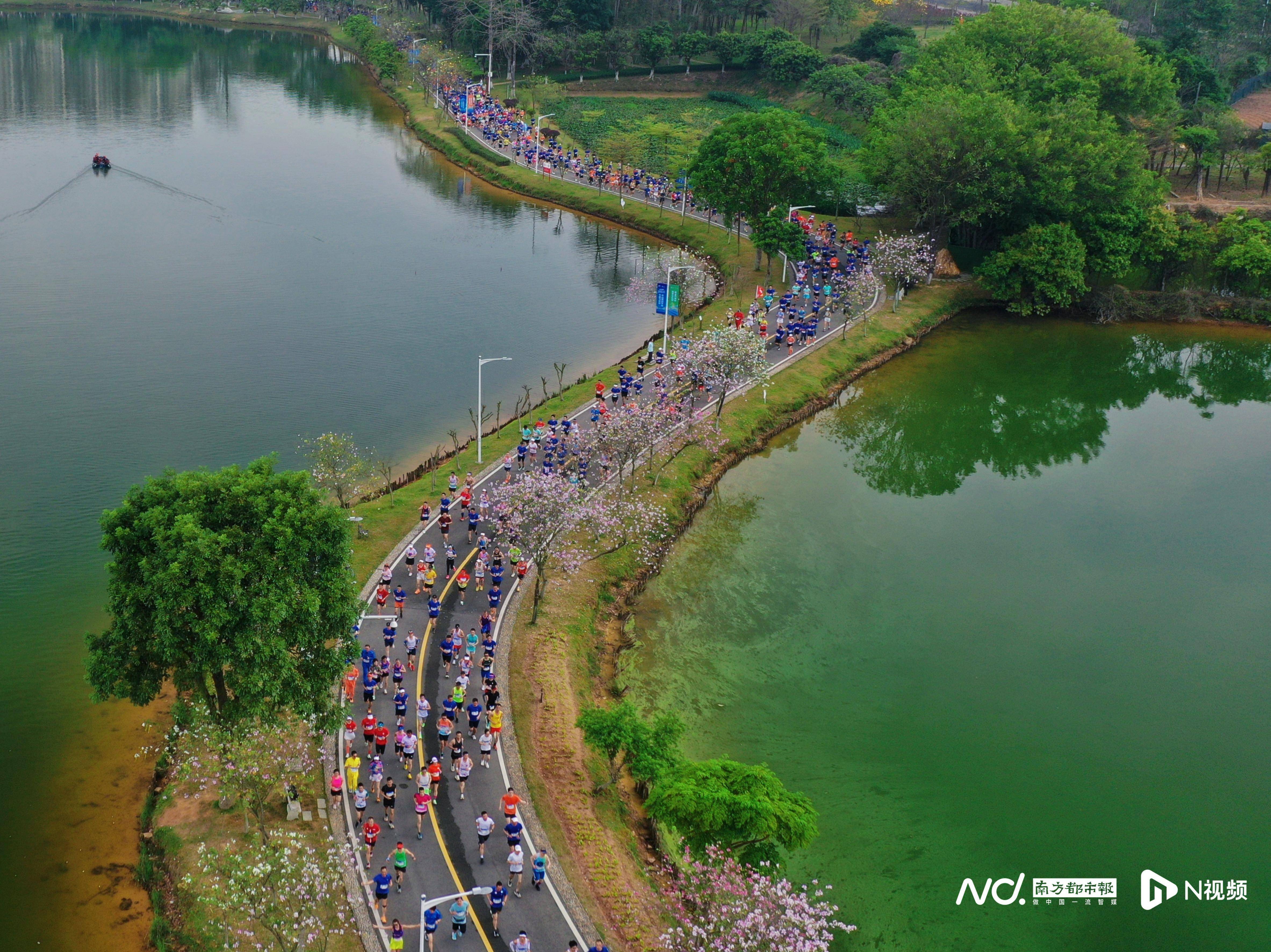 畅游最美赛道2024东莞松山湖科学城半程马拉松鸣枪开跑