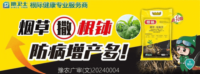 以上为广告,与正文无关每周为您摘取有价值的新闻读一读  了解身边