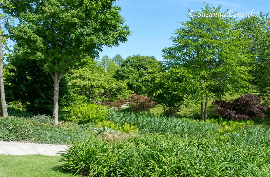 14公顷公园绿地中的植物搭配艺术_花园_树木_种植