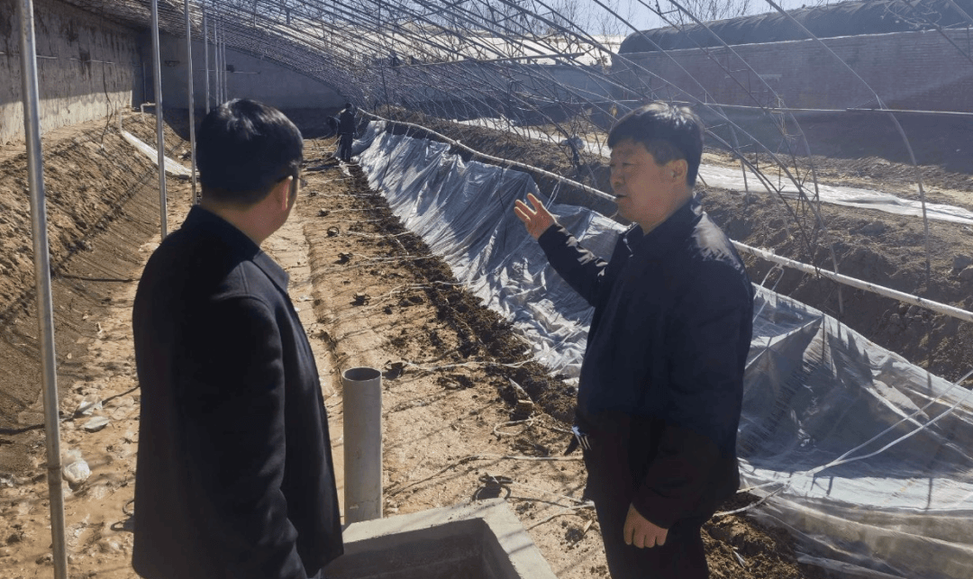 乡镇街园区一把手周记②