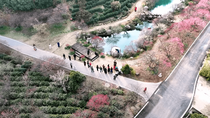 中国蓝观察春风吹来了赏花经济