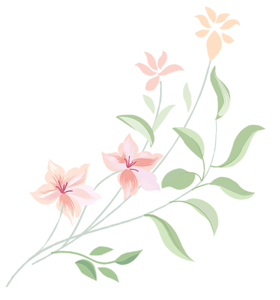 绿色出行校园美化