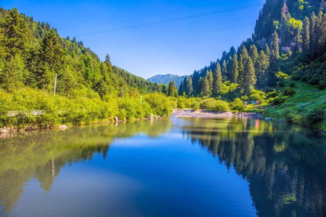 硬核实宠全国游客甘肃省a级旅游景区推出全年优惠政策