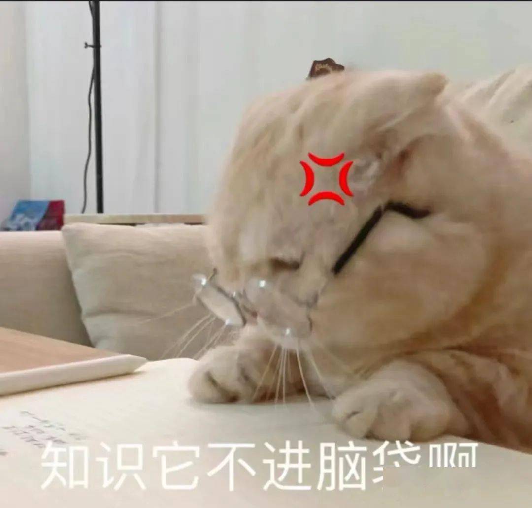 大学生有自己的"四不"文学