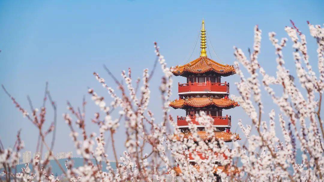 人间最美四月天彭城五条赏花线