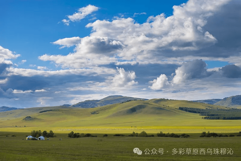 西乌珠穆沁草原图片