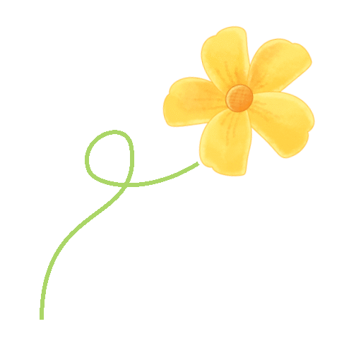 在黄道婆公园遇见花朝节