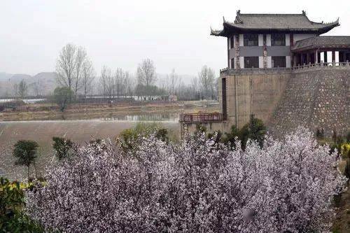 图源渭南文旅澄城县龙首坝景区桃花杏花竞相开放,这里可以游山玩水逗