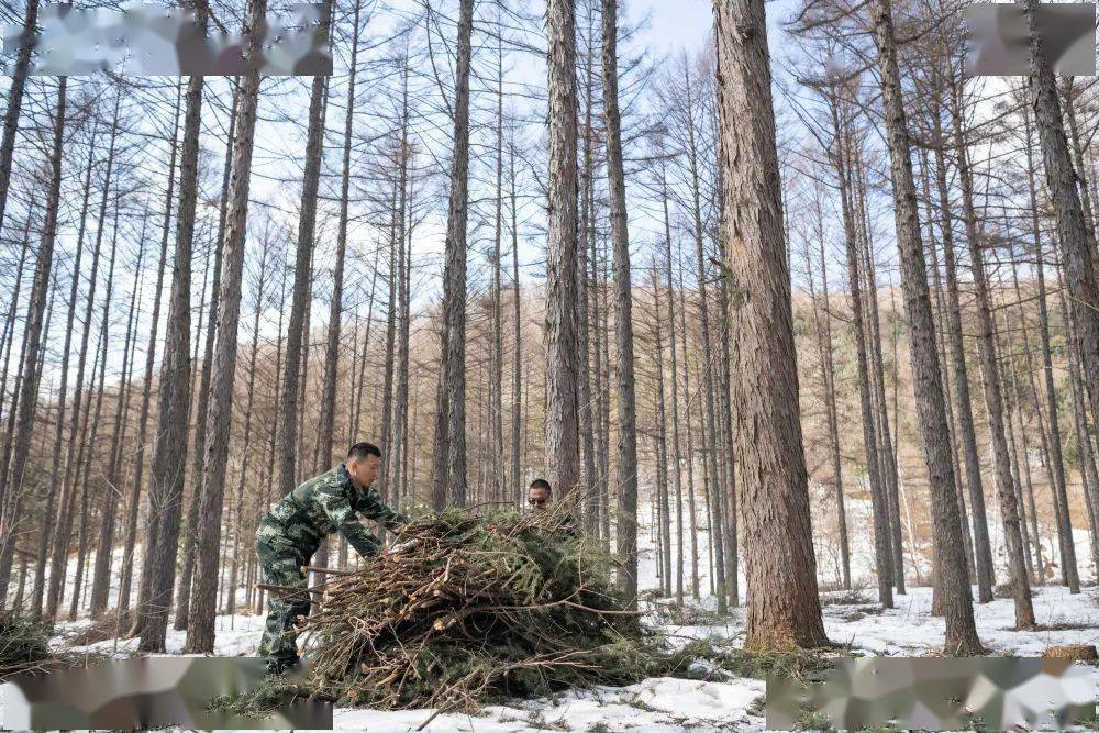 新华社记者 谢剑飞 摄林地面积2162万公顷,森林覆盖率44.