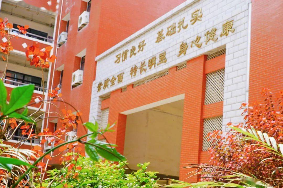 食品安全迎接食安联检营养食谱四五周