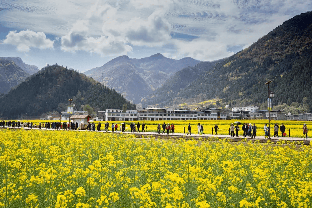 春入巴山2024镇巴邀您共赴春日盛会