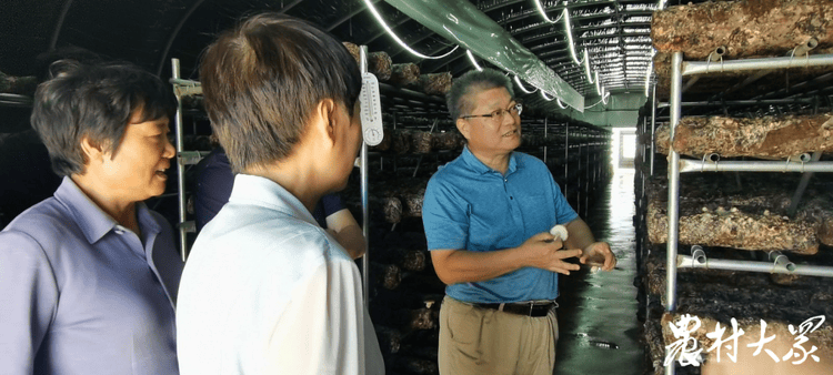 主,山东省食用菌生产大的区域性不强,几乎所有品种在全省各地都可栽培