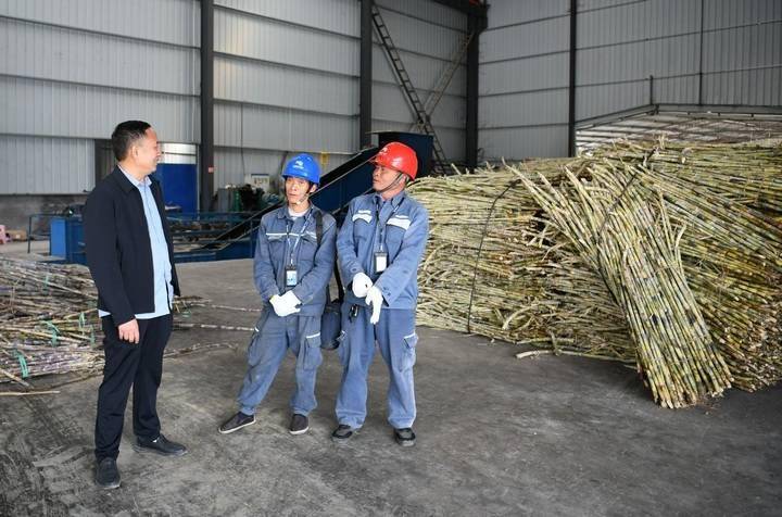 贞丰供电局优质服务助力蔗糖产业发展