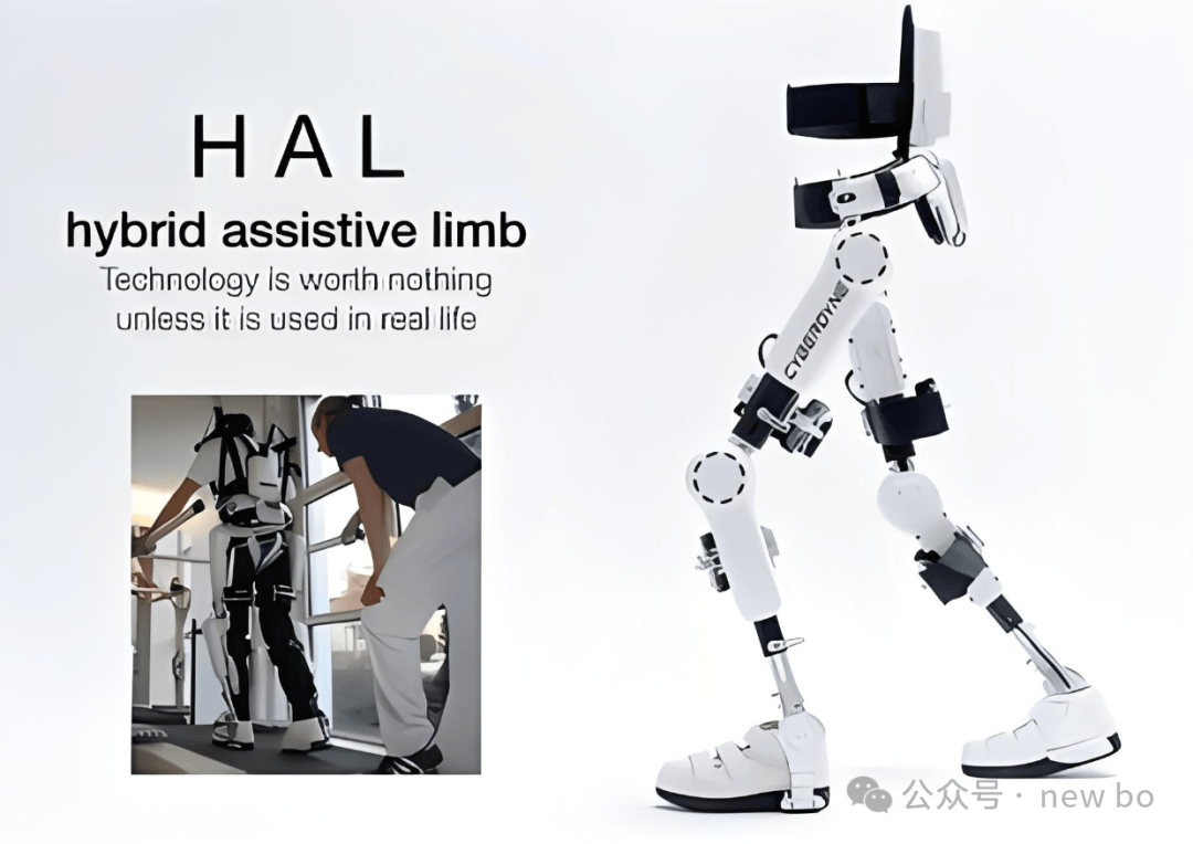 机器人行业调研(十)