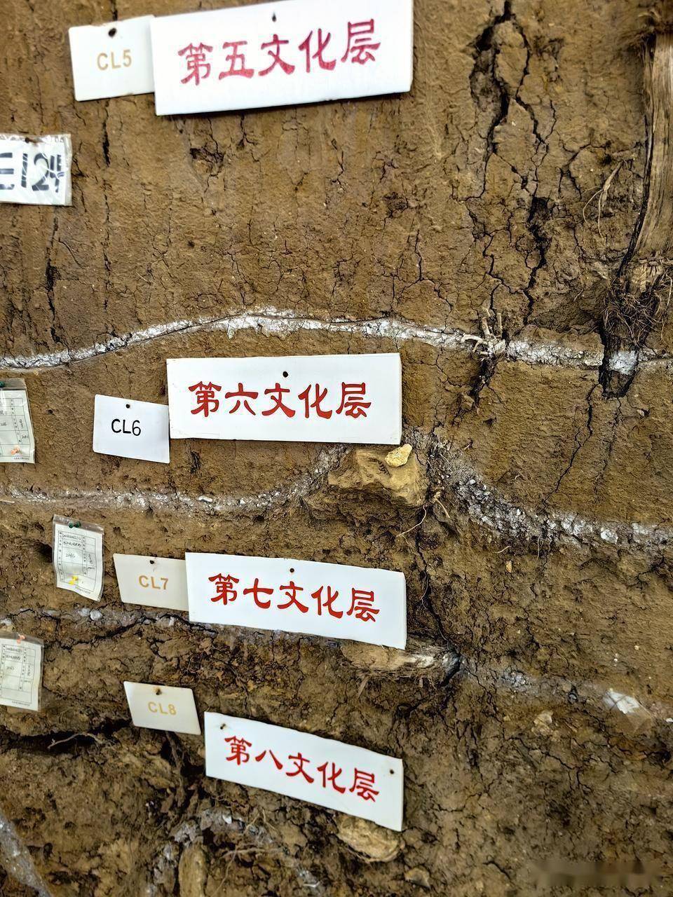明日直播考古跋山遗址触摸万年历史央视频人民网文旅中国等全程参与