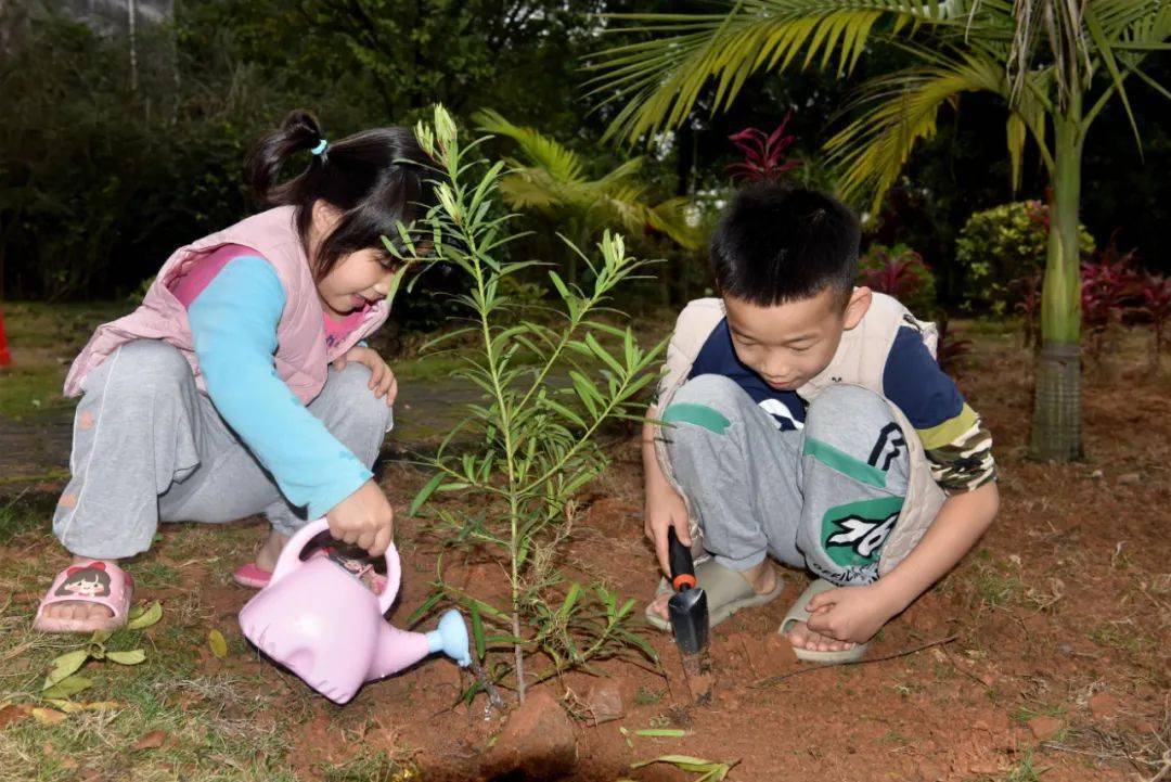 植绿护绿