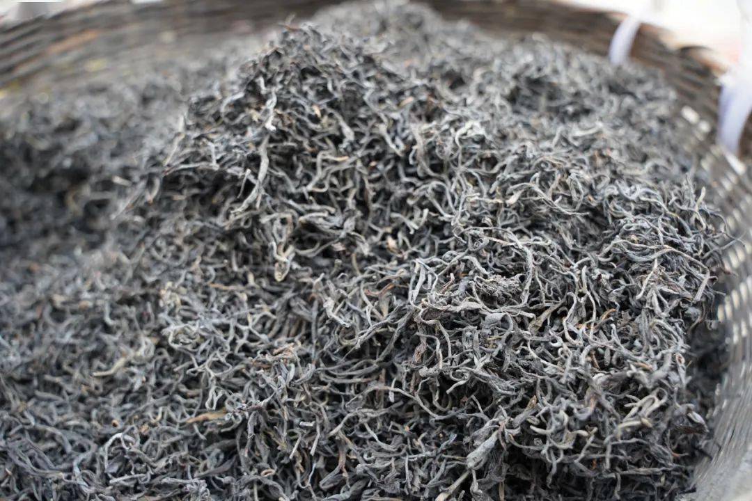 开茶咯2024年苍梧县六堡茶开茶节仪式感拉满