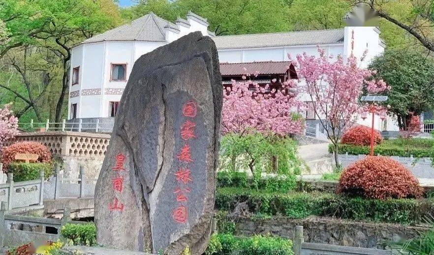 春游江淮请来滁州去露营吧我在春天的滁州等你