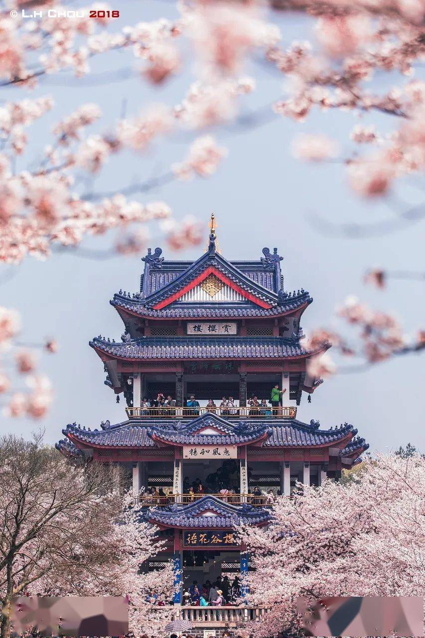 中国最美56个春天美到落泪