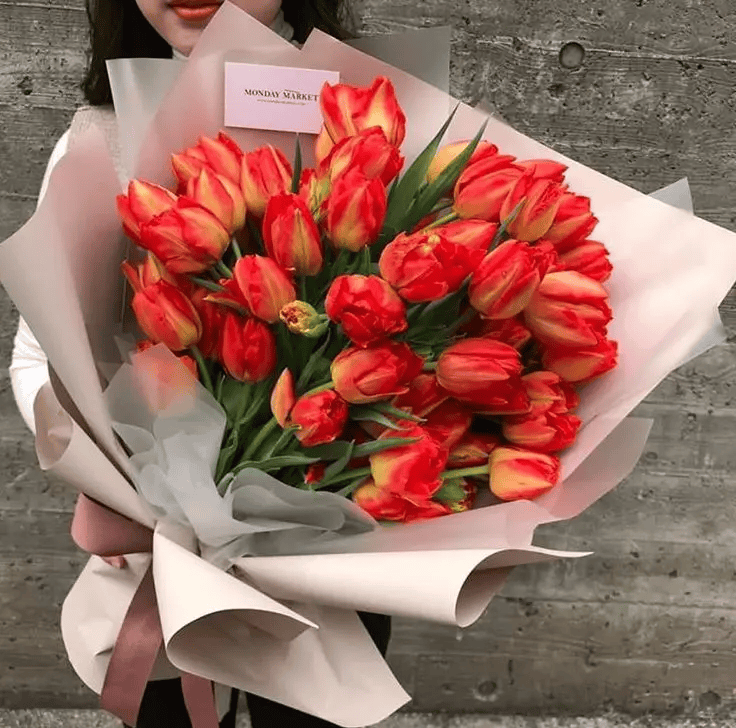 50张郁金香花束图片,学习了!