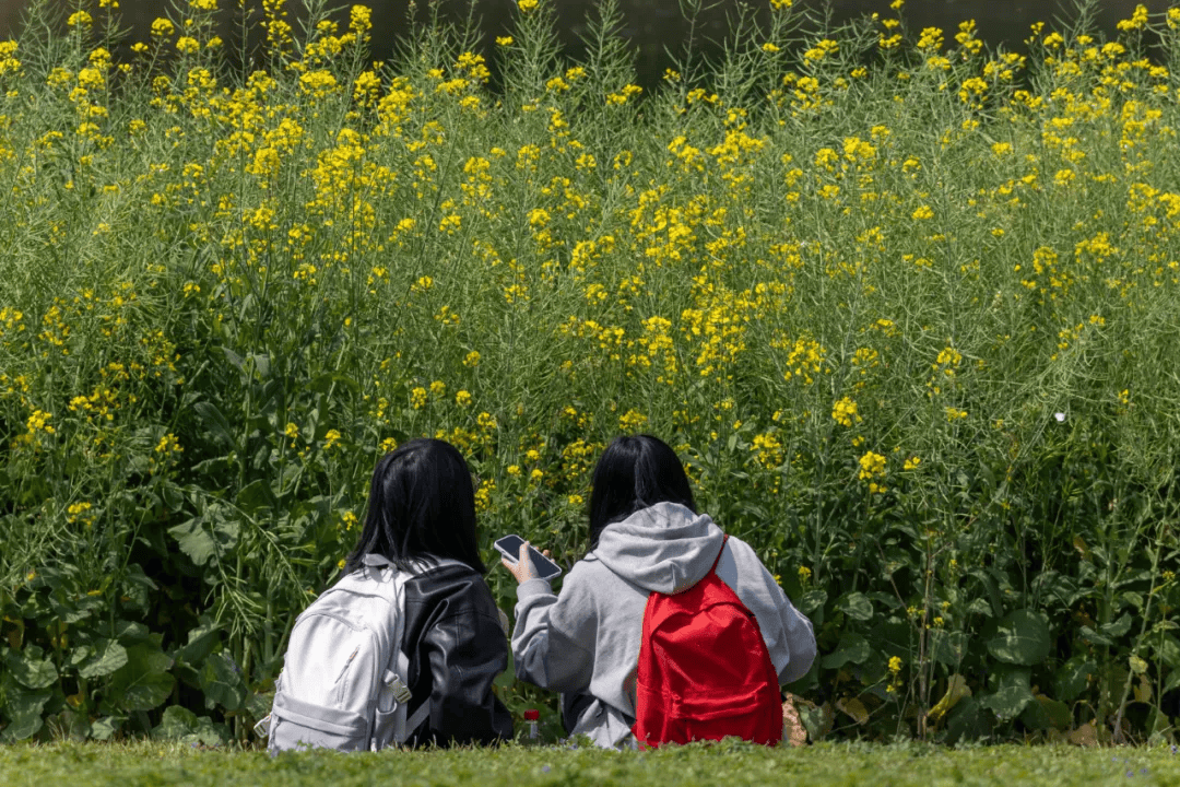 颜值爆表福建高校校花曝光