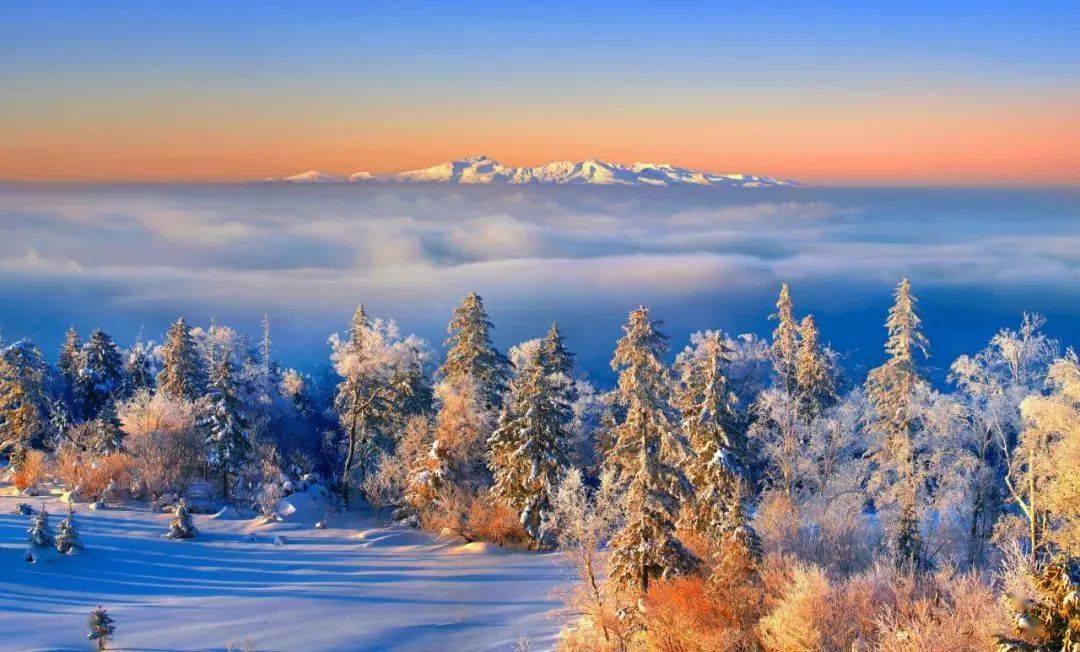 《我们仨》首站长白山!清明小长假速来吉林get明星同款旅行地!