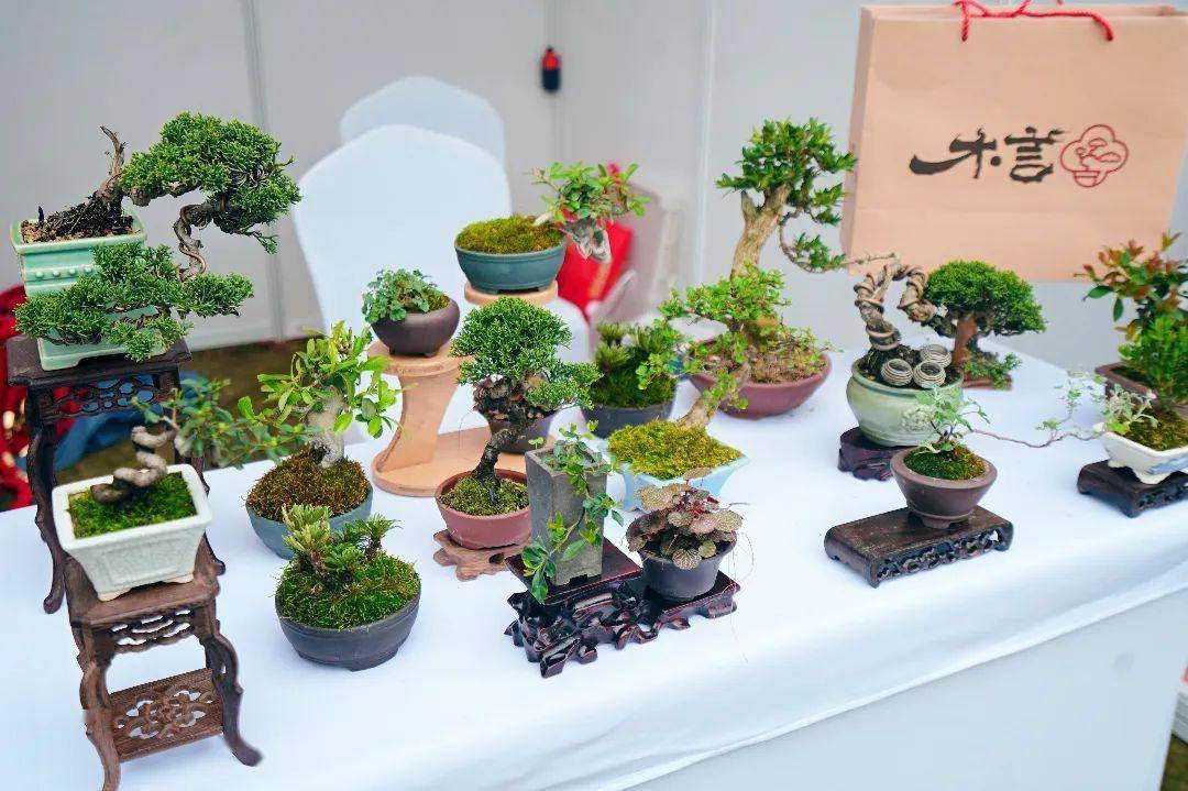 成都世园会分会场系列活动2024年成都花卉苗木供需对接会成功举办