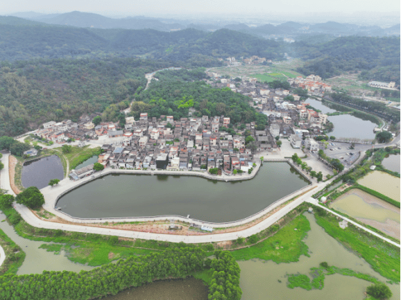 绿美蓬江棠下镇良溪村用绣花功夫植绿激发古村新活力