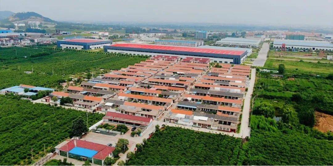 乡村文化振兴丨日照市东港区共建共治聚合力和美乡村谱新篇