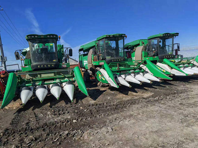 吉林德惠:树立大农业观 把农业建成现代化大产业_托管_种植_发展