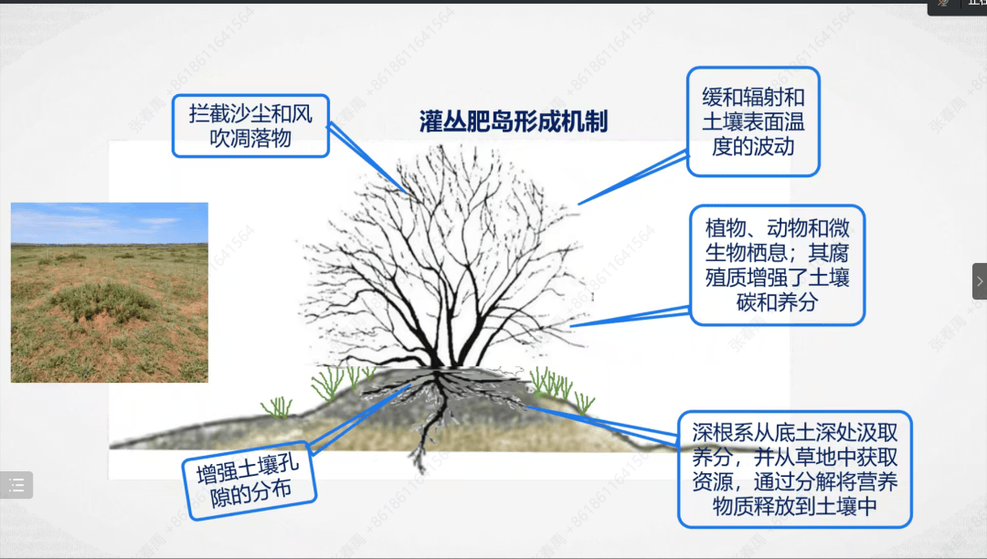 什么是地理肥岛效应