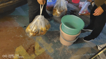 罗哥_小佳_因为